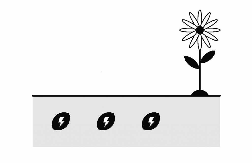 Nurture Your Daily Seeds of Potential 1 Nurture Your Daily Seeds of Potential