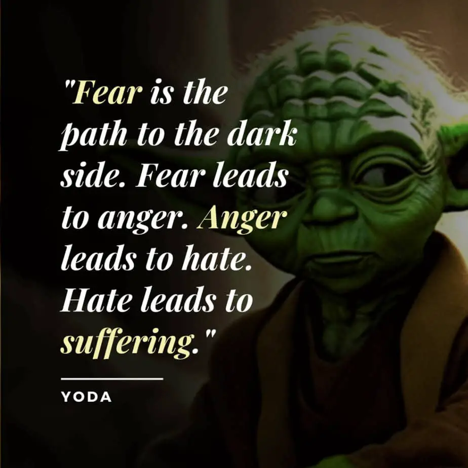 Fear Is The Path To The Dark Side Quote