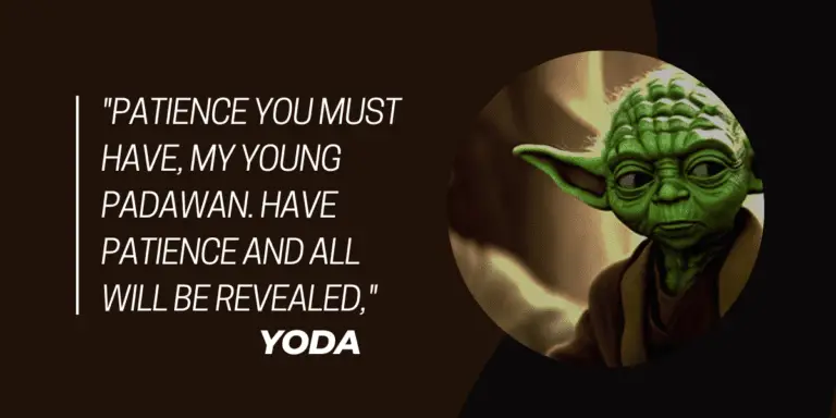 Patience My Young Padawan – Quote