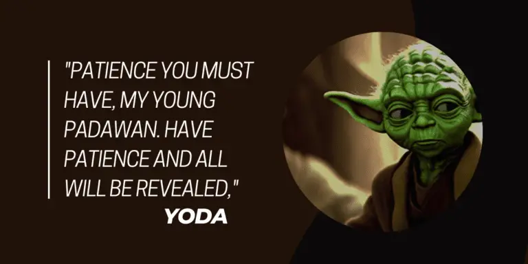 Patience_you_must_have_my_young_Padawan_Have_patience_and_all_will_be_revealed