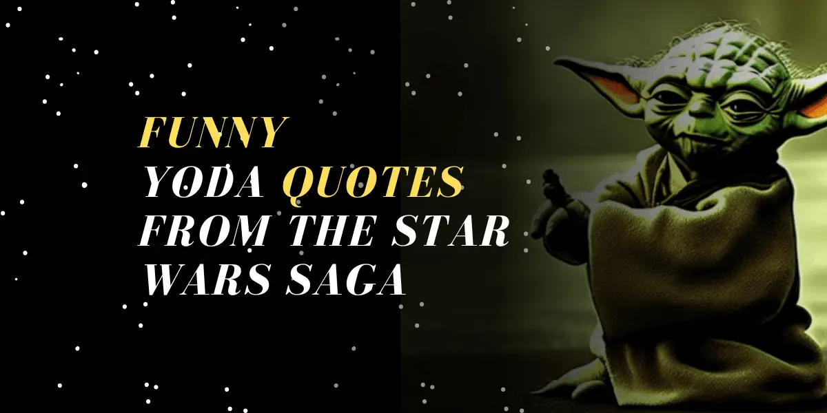 Funny Yoda Quotes: Wisdom And Humor From The Star Wars Saga | Successful  Spirit