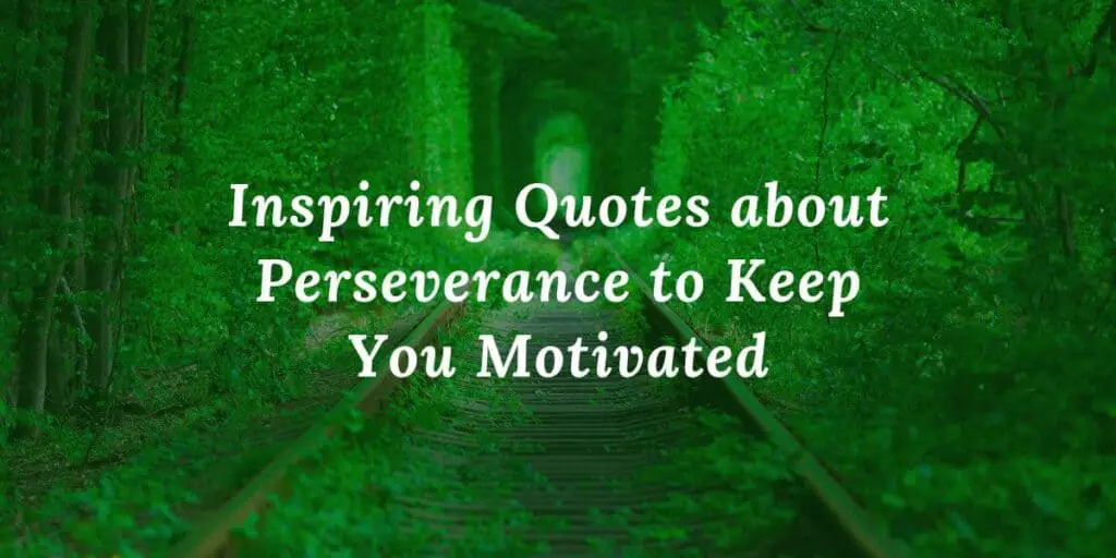 motivational_quote_perseverance2