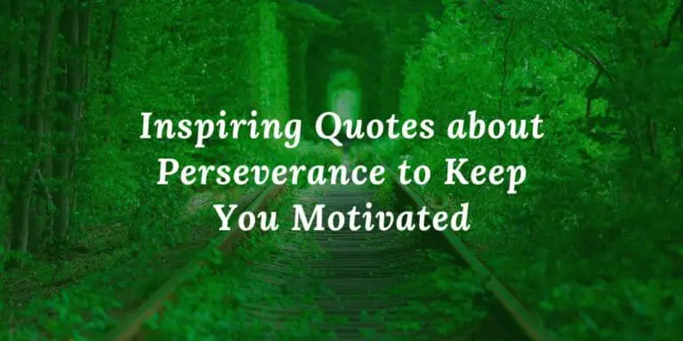 Never Give Up: Motivational Quote Perseverance