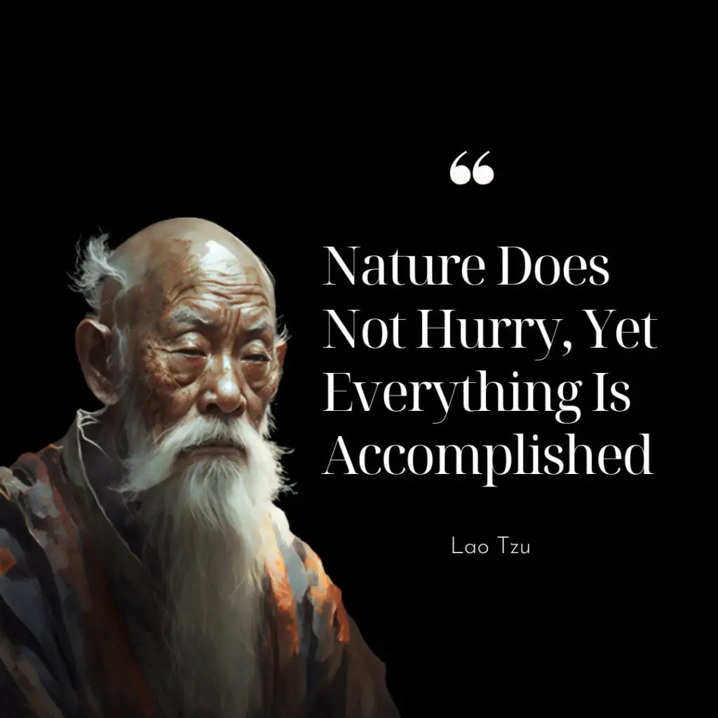 Nature does not hurry, yet everything is accomplished - Lao Tzu
