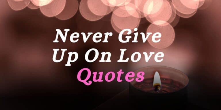 Find Inspiration In These Never Give Up On Love Quotes