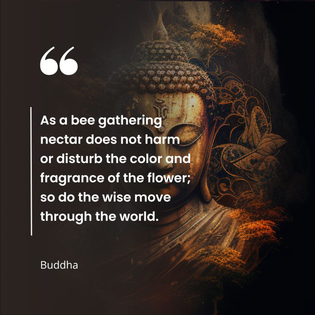 Uncover 20 Uplifting Buddha Quotes on Karma