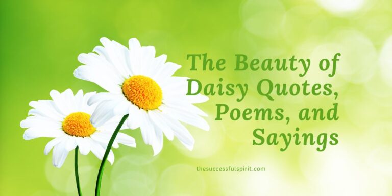 The Beauty of Daisy Quotes, Poems, and Sayings