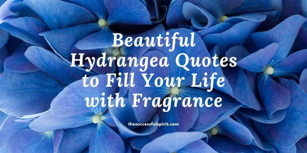 Beautiful Hydrangea Quotes to Fill Your Life with Fragrance