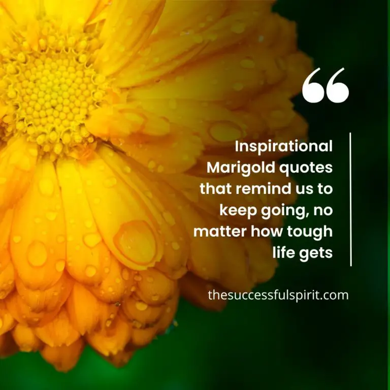 Marigold Quotes - Inspiring Words for Every Occasion | Successful Spirit