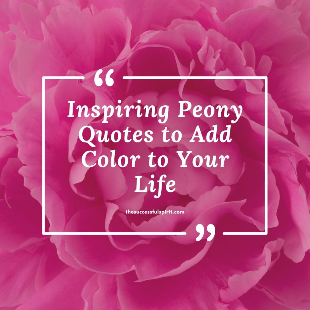 Inspiring Peony Quotes to Add Color to Your Life