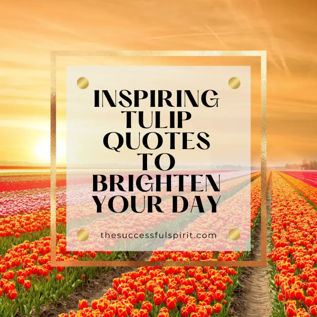 Inspiring Tulip Quotes to Brighten Your Day
