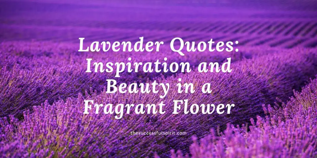 Lavender Quotes: Inspiration and Beauty in a Fragrant Flower