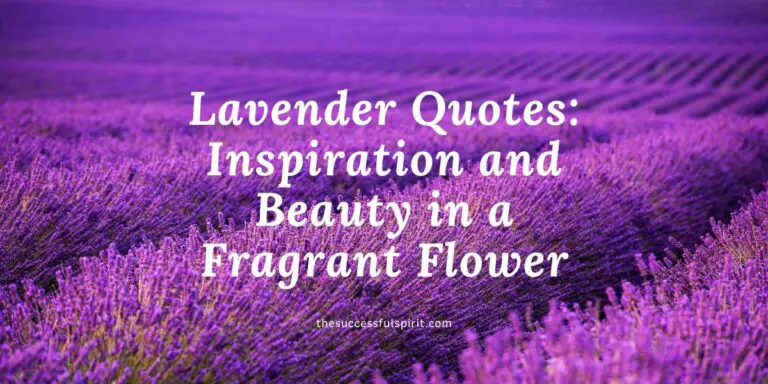 Lavender-Quotes