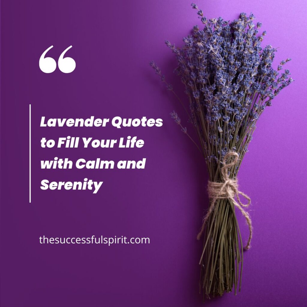 Lavender Quotes: Inspiration and Beauty in a Fragrant Flower