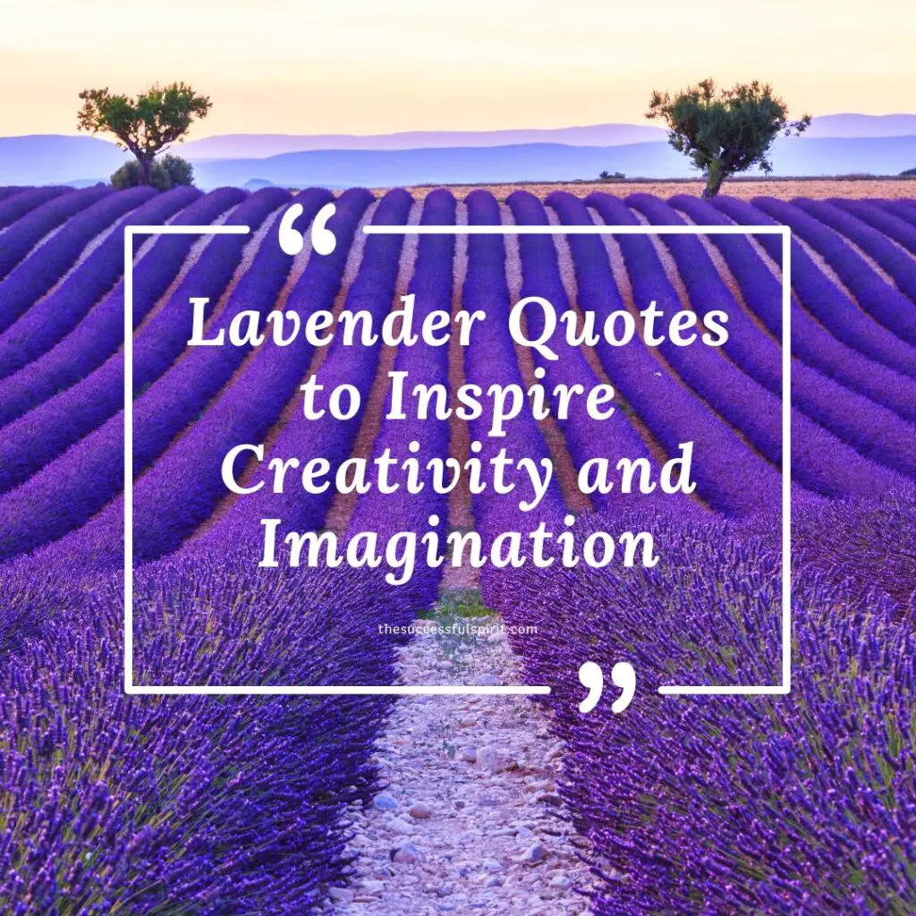Lavender Quotes: Inspiration and Beauty in a Fragrant Flower