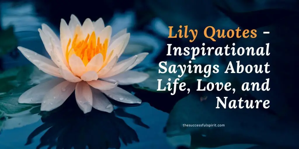 Lily Quotes - Inspirational Sayings About Life, Love, and Nature