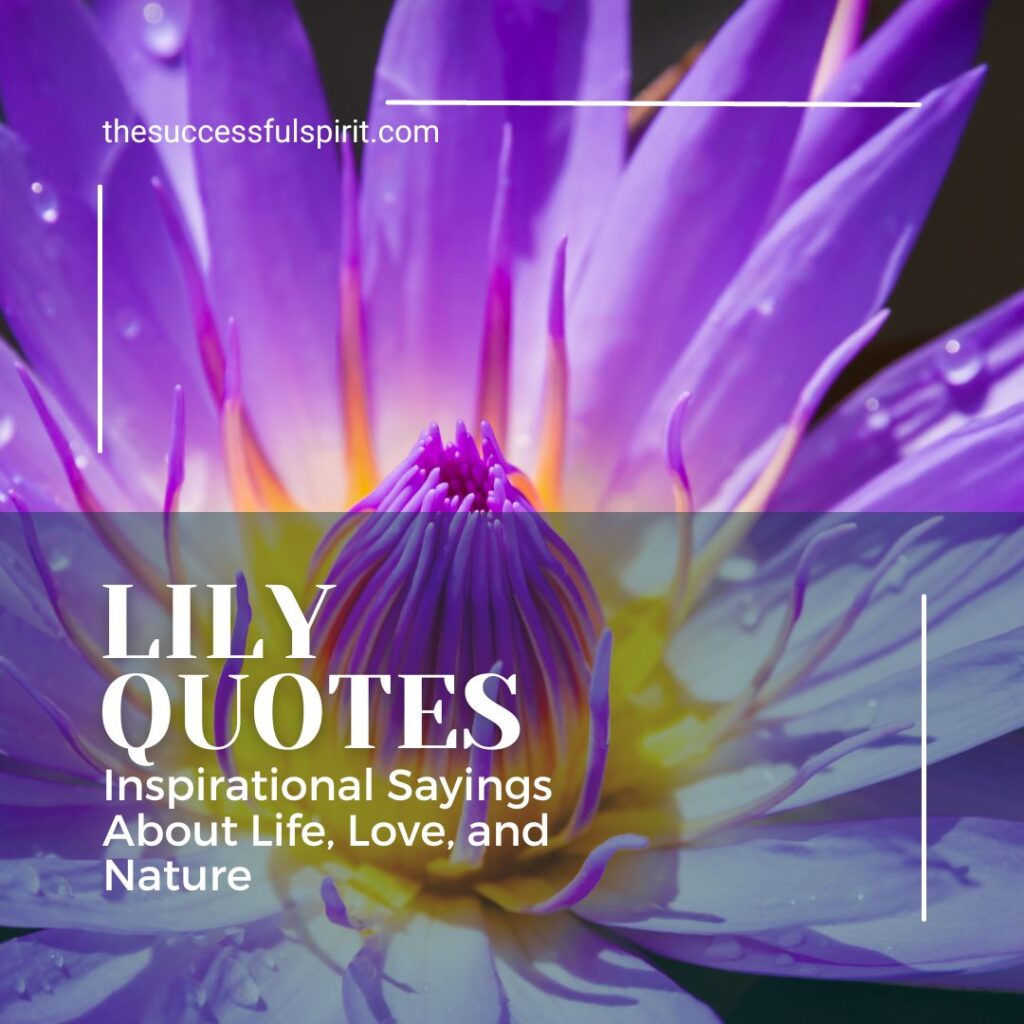 Lily Quotes - Inspirational Sayings About Life, Love, and Nature