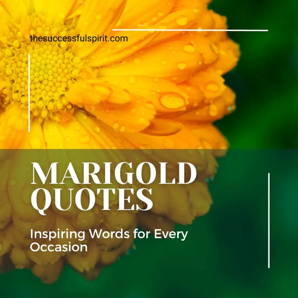 Marigold Quotes - Inspiring Words for Every Occasion