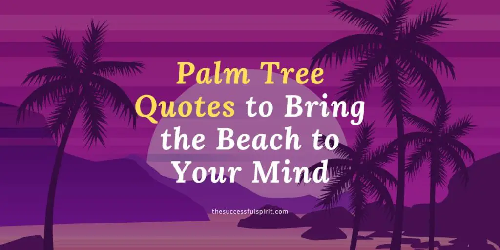 Palm Tree Quotes to Bring the Beach to Your Mind