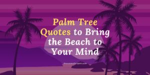Palm-Tree-Quotes