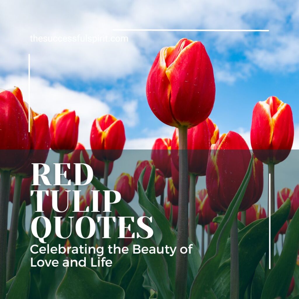 Inspiring Tulip Quotes to Brighten Your Day