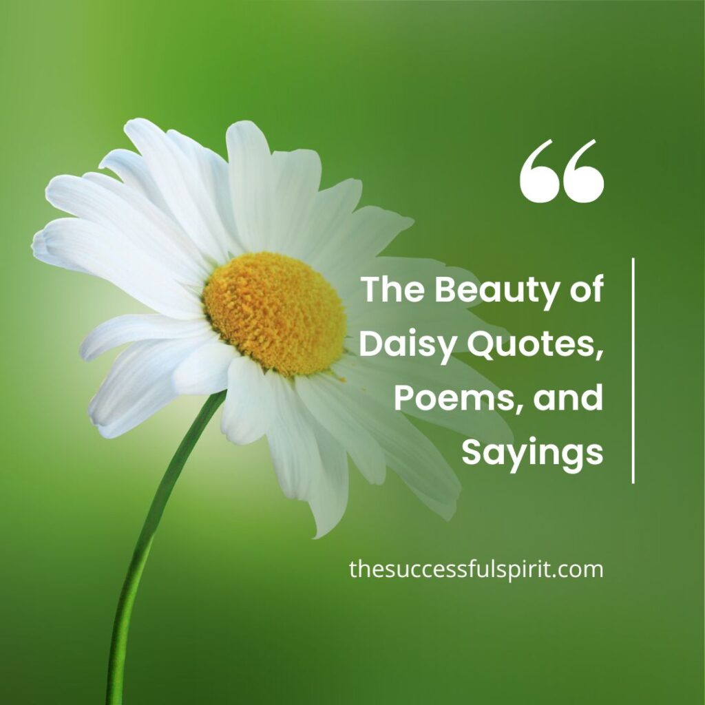 The Beauty of Daisy Quotes, Poems, and Sayings