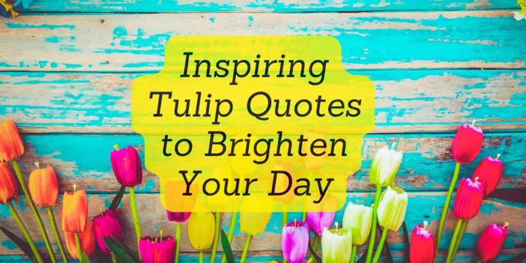 Inspiring Tulip Quotes to Brighten Your Day