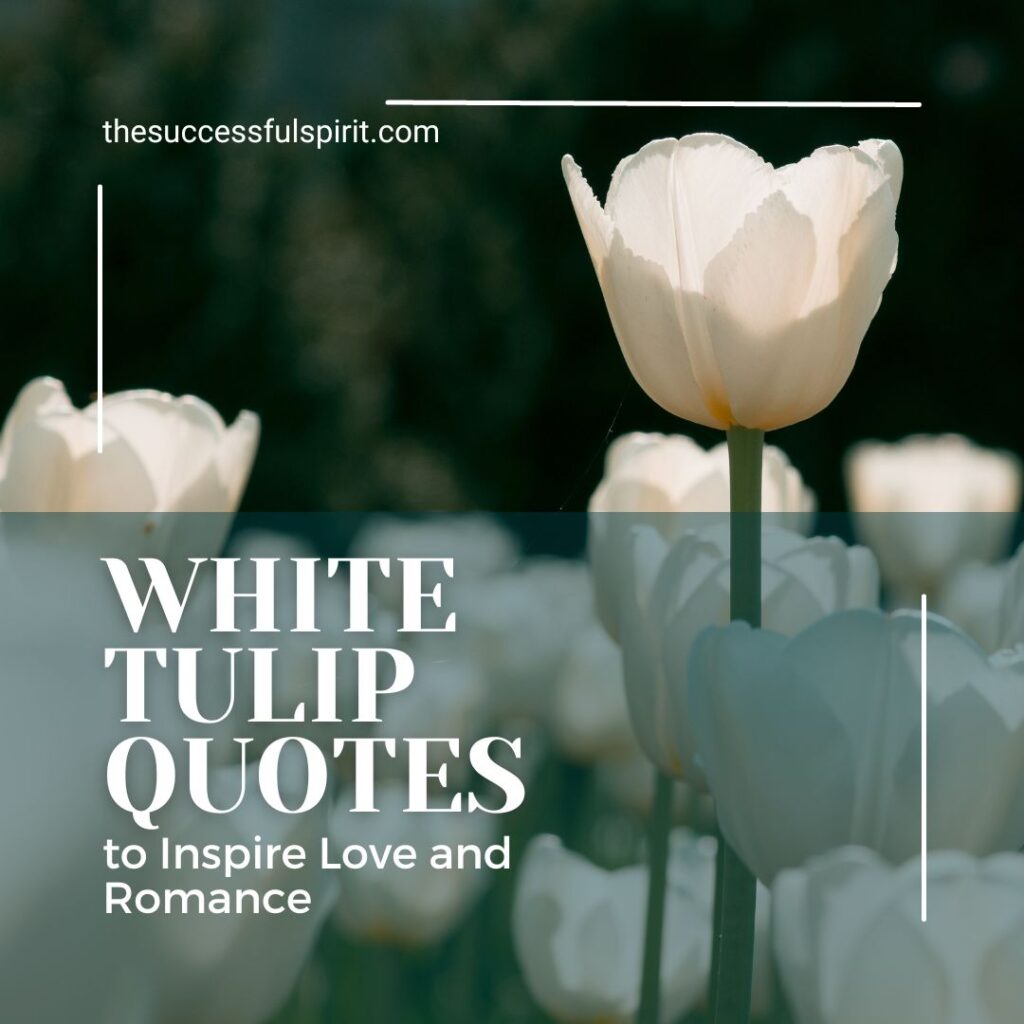 Inspiring Tulip Quotes to Brighten Your Day