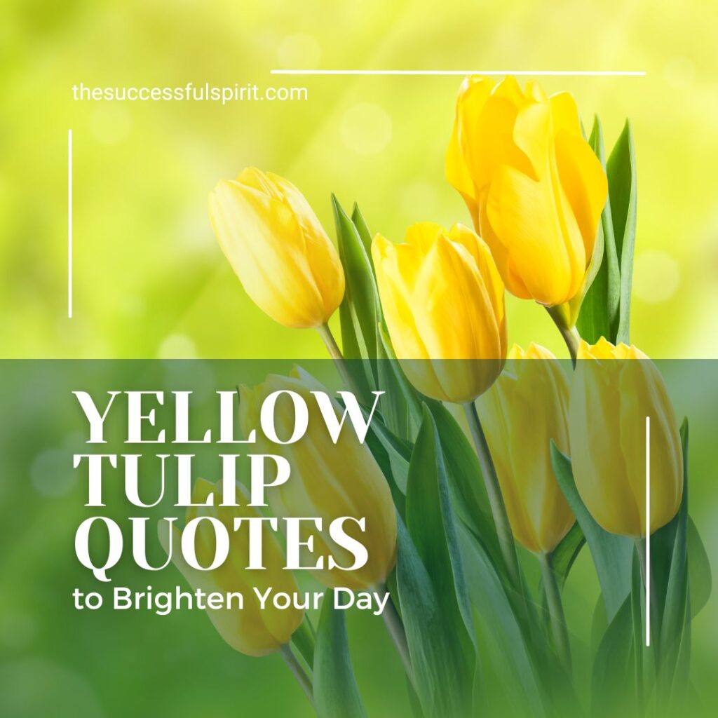 Inspiring Tulip Quotes to Brighten Your Day