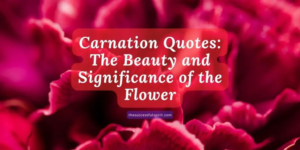 Carnation Quotes: The Beauty and Significance of the Flower