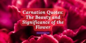 Carnation-Quotes