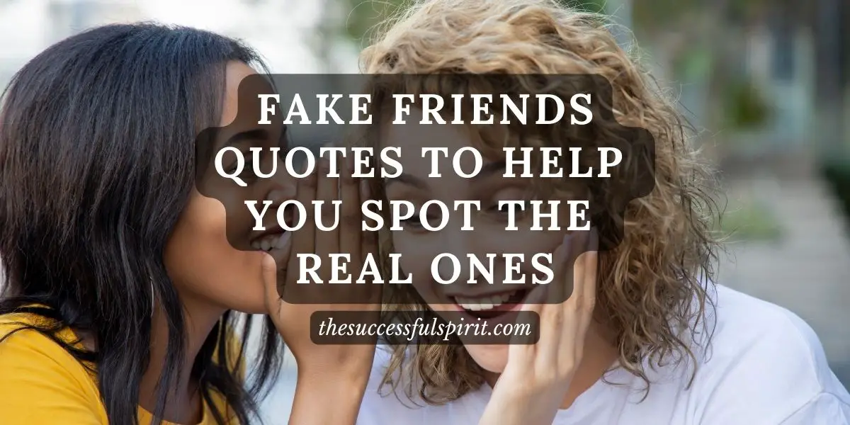 200 Fake Friends Quotes to Help You Spot the Real Ones Successful Spirit