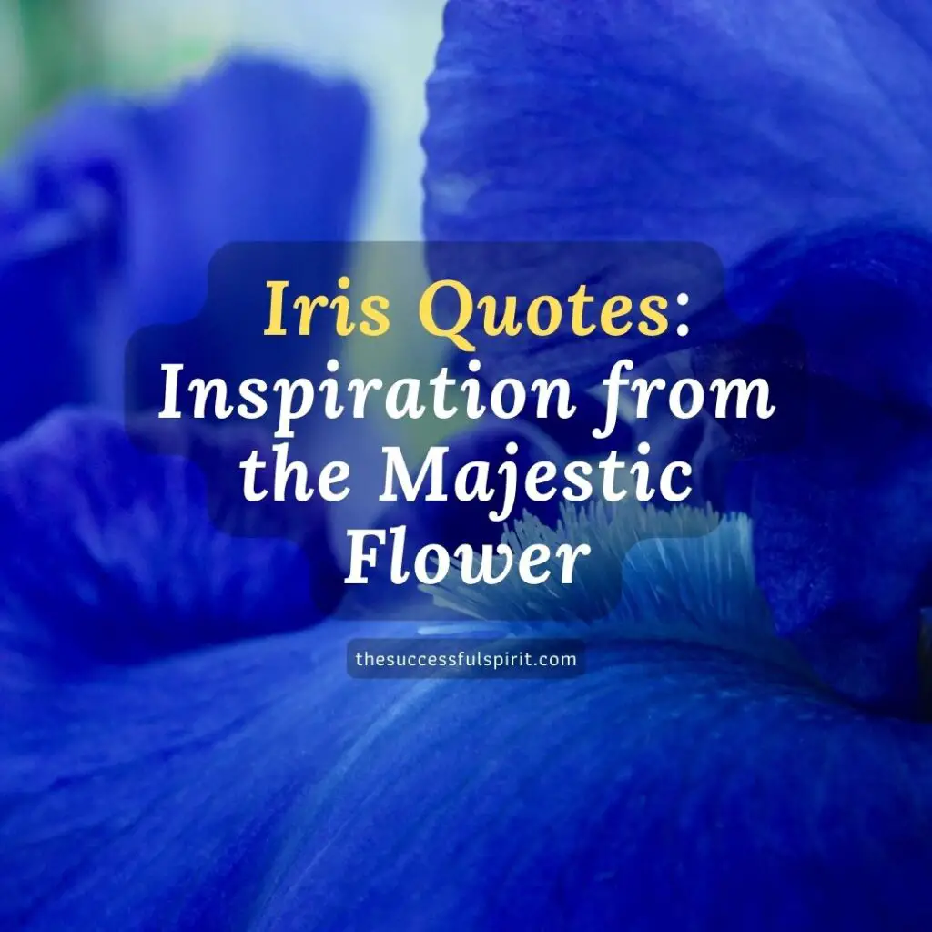 226 Inspiring Iris Quotes That Will Help You See the Beauty in Life