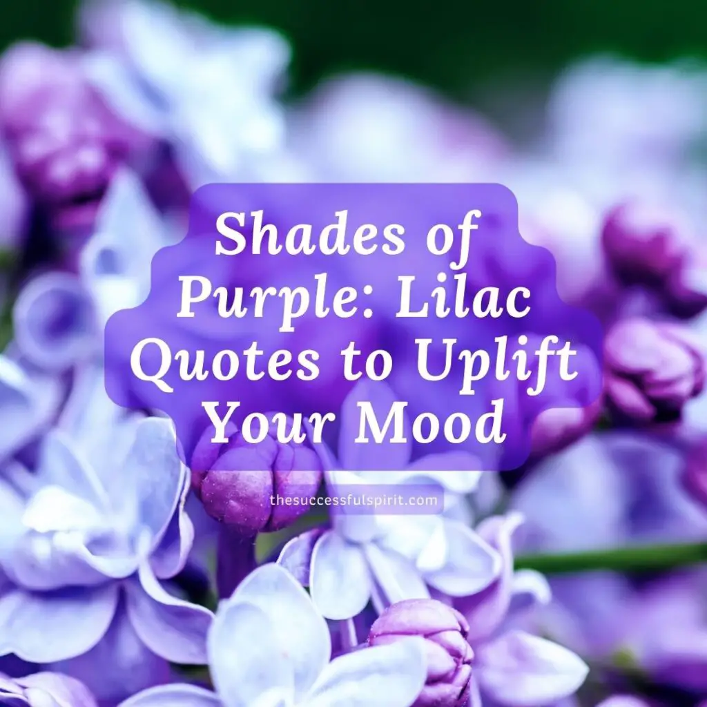 Captivating Lilac Quotes to Add a Touch of Beauty to Your Day