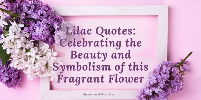 Lilac-Quotes