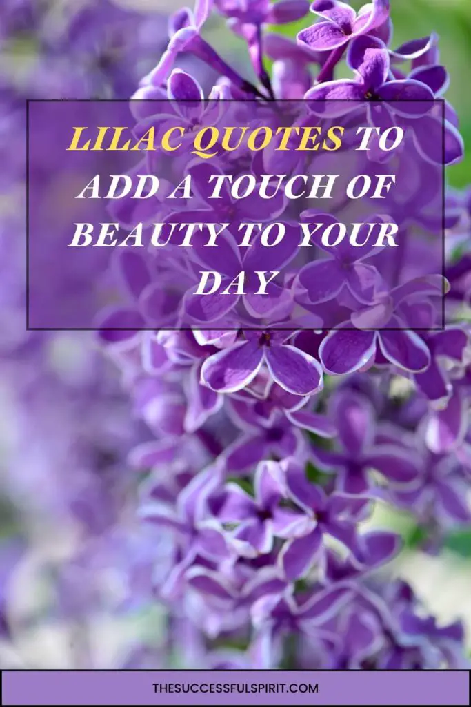 Captivating Lilac Quotes to Add a Touch of Beauty to Your Day 3 Captivating Lilac Quotes to Add a Touch of Beauty to Your Day