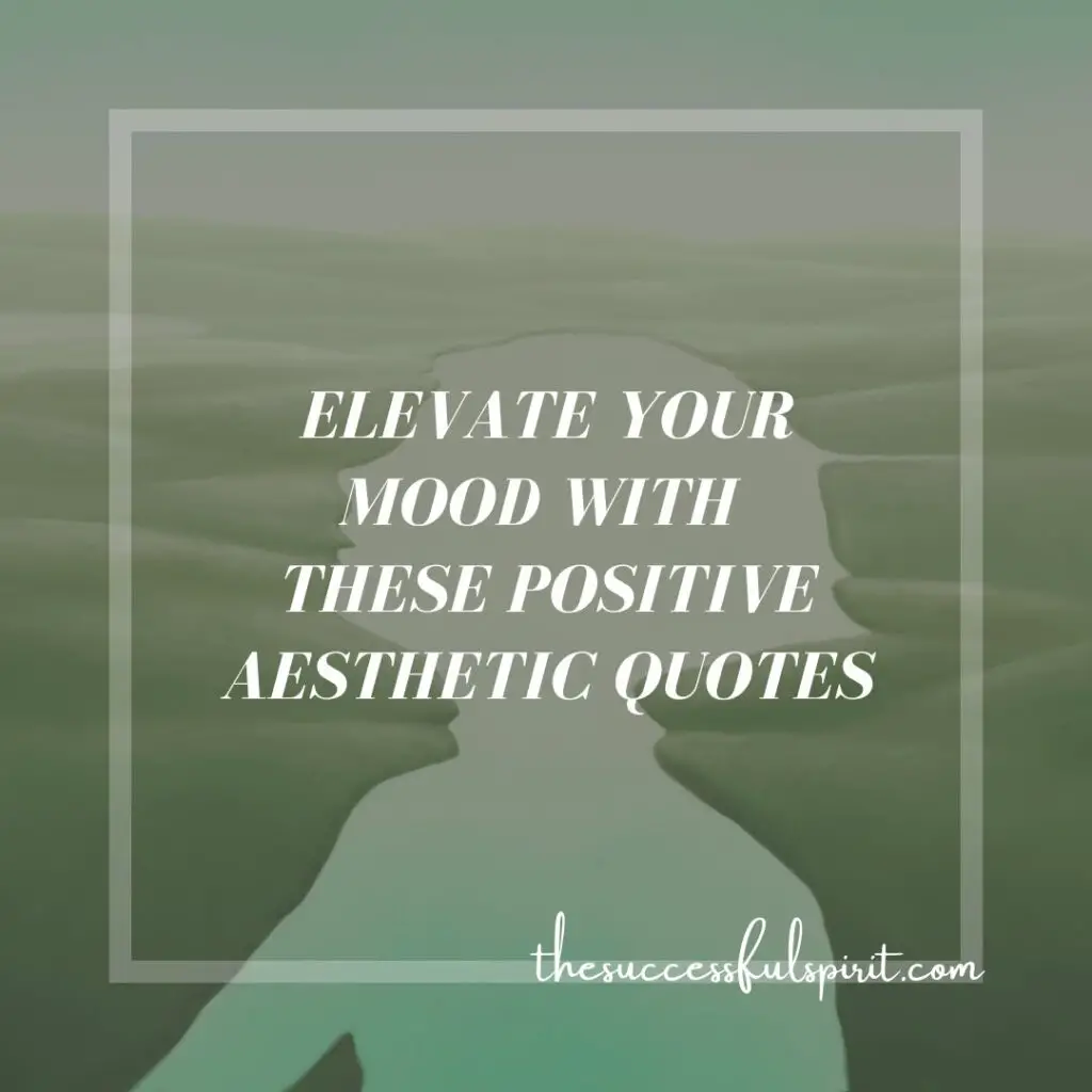 Aesthetic Quotes: Finding Beauty and Inspiration in Life