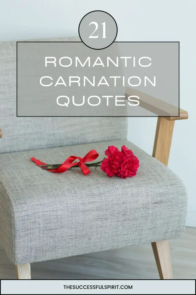 Carnation Quotes: The Beauty and Significance of the Flower