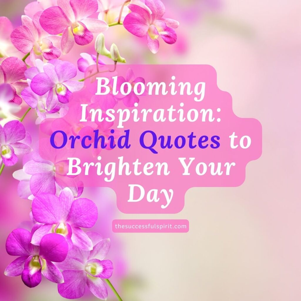 Beautiful Orchid Quotes that will Inspire and Uplift You