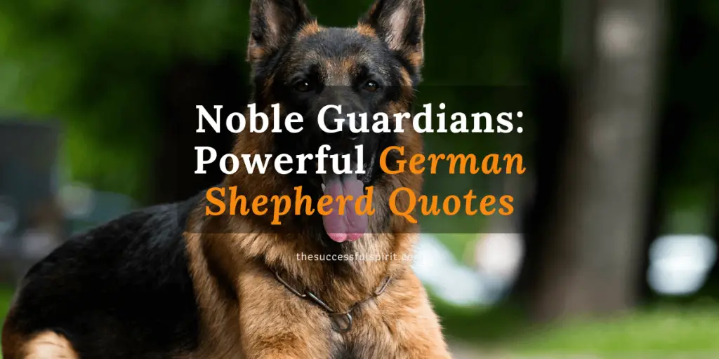 Noble Guardians: Powerful German Shepherd Quotes 1 Noble Guardians: Powerful German Shepherd Quotes