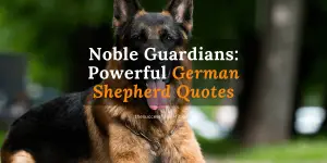 German-Shepherd-Quotes