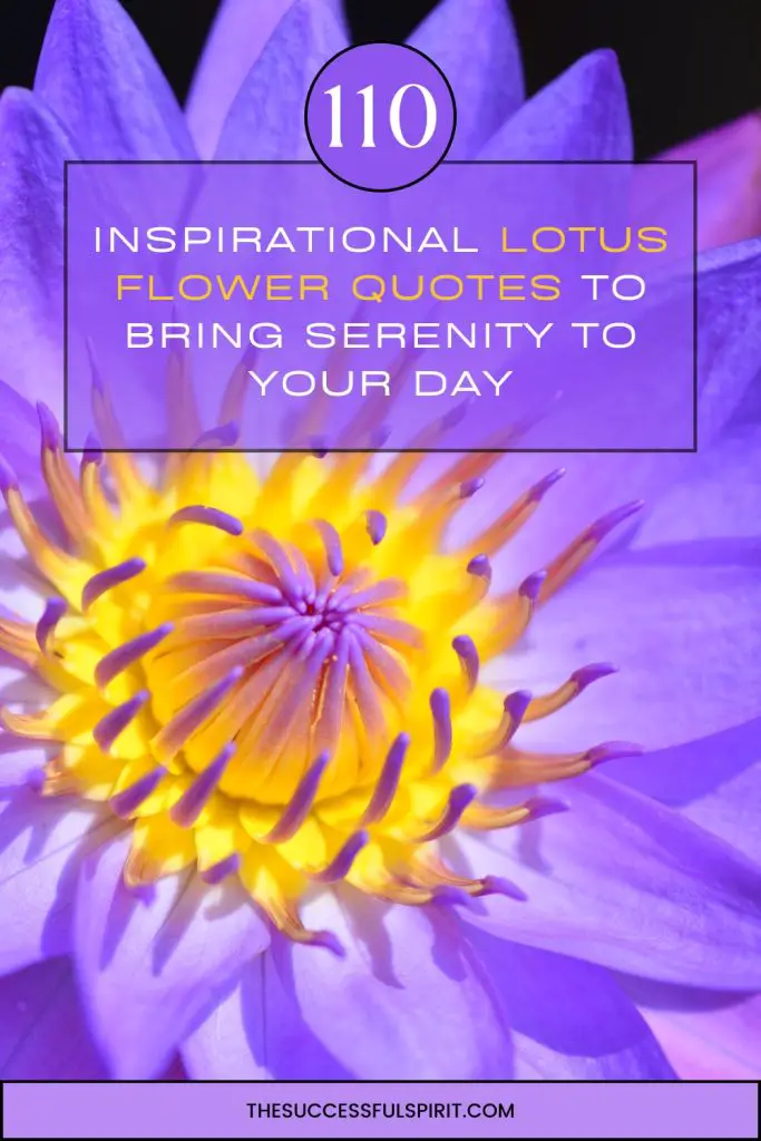 Inspirational Lotus Flower Quotes