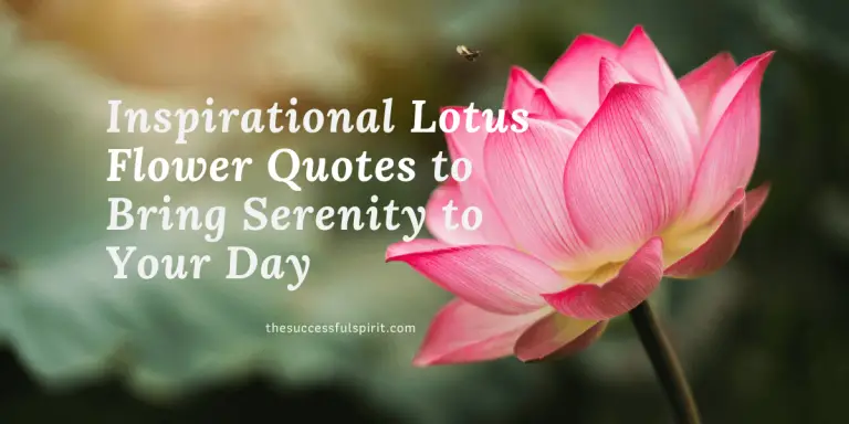 110 Inspirational Lotus Flower Quotes to Bring Serenity to Your Day